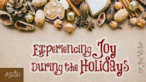 experiencing-joy-during-the-holidays-by-jim-wilder