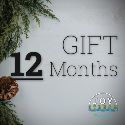 gift-joystream-12-months