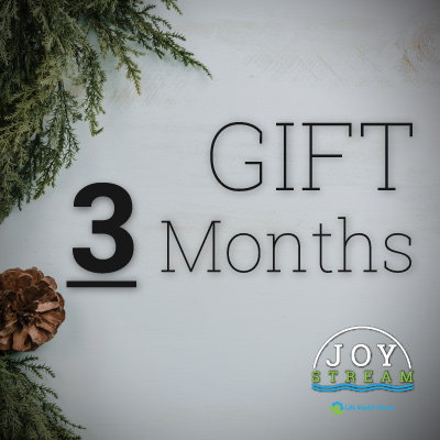 gift-joystream-3-months
