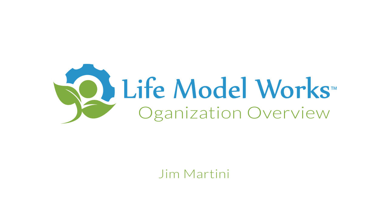 life-model-works-organization-overview