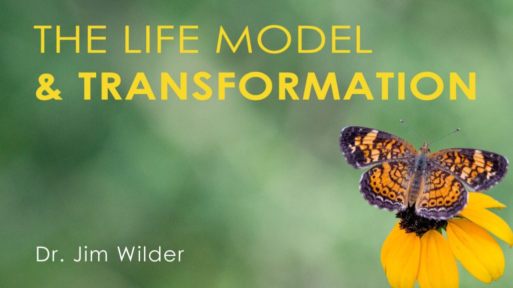 the-life-model-and-transformation