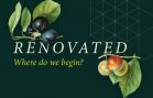 renovated-where-do-we-begin-wilder-introduction-poster