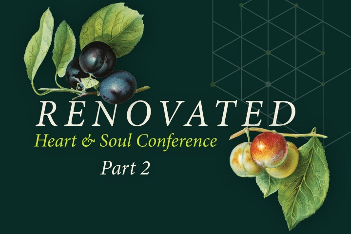 The Heart and Soul Conference: Forming Spiritual and Emotional Maturity 		
			
				This post is only available to members.